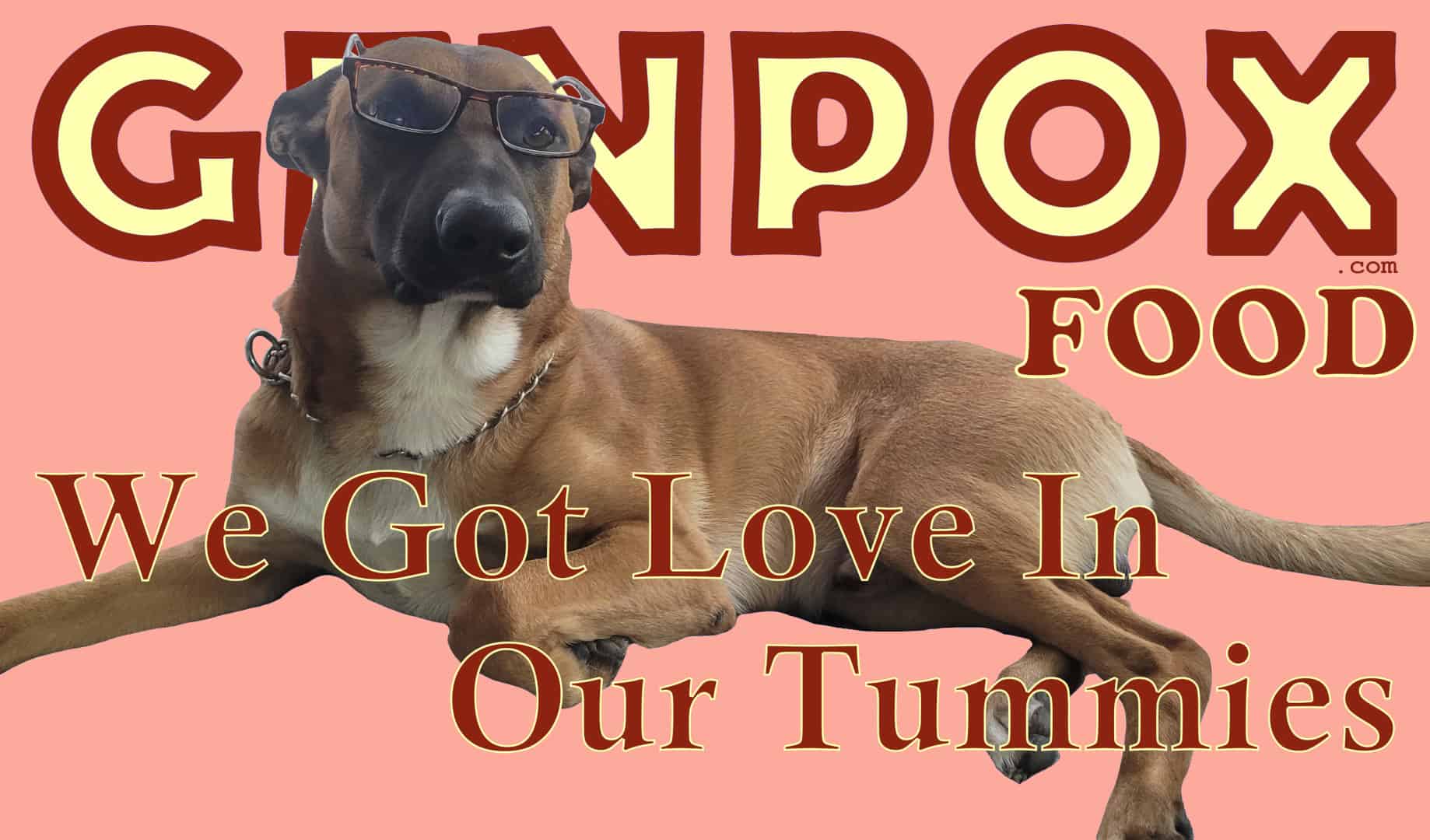 rose background with GENPOX.com at the top in big block letters. under that on the right is the word FOOD. in the foreground is a dog laying down with its head up and wearing reading glasses. across it are the words: We Got Love In Our Tummies