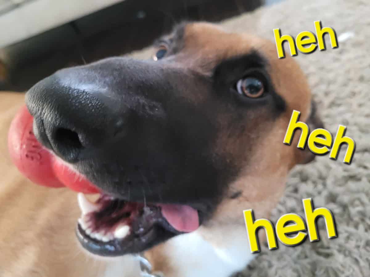 GP Genuine Horoscopes For Those Born Under A Perplexing Sign