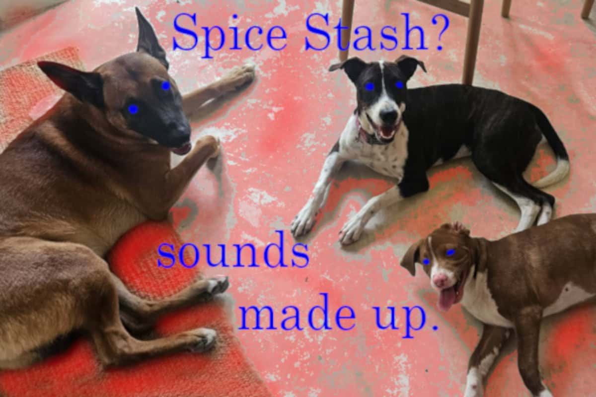 three dogs laying on a floor. the background is splotchily reddened. all three have glowing blue eyes. at the top are the words "Spice Stash?" and at the bottom it says "sounds made up."