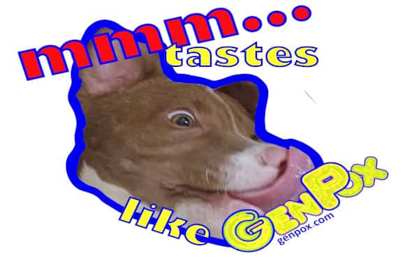 the words "mmm...tastes like" and the picture of a puppy face frantically licking the word "GenPox"