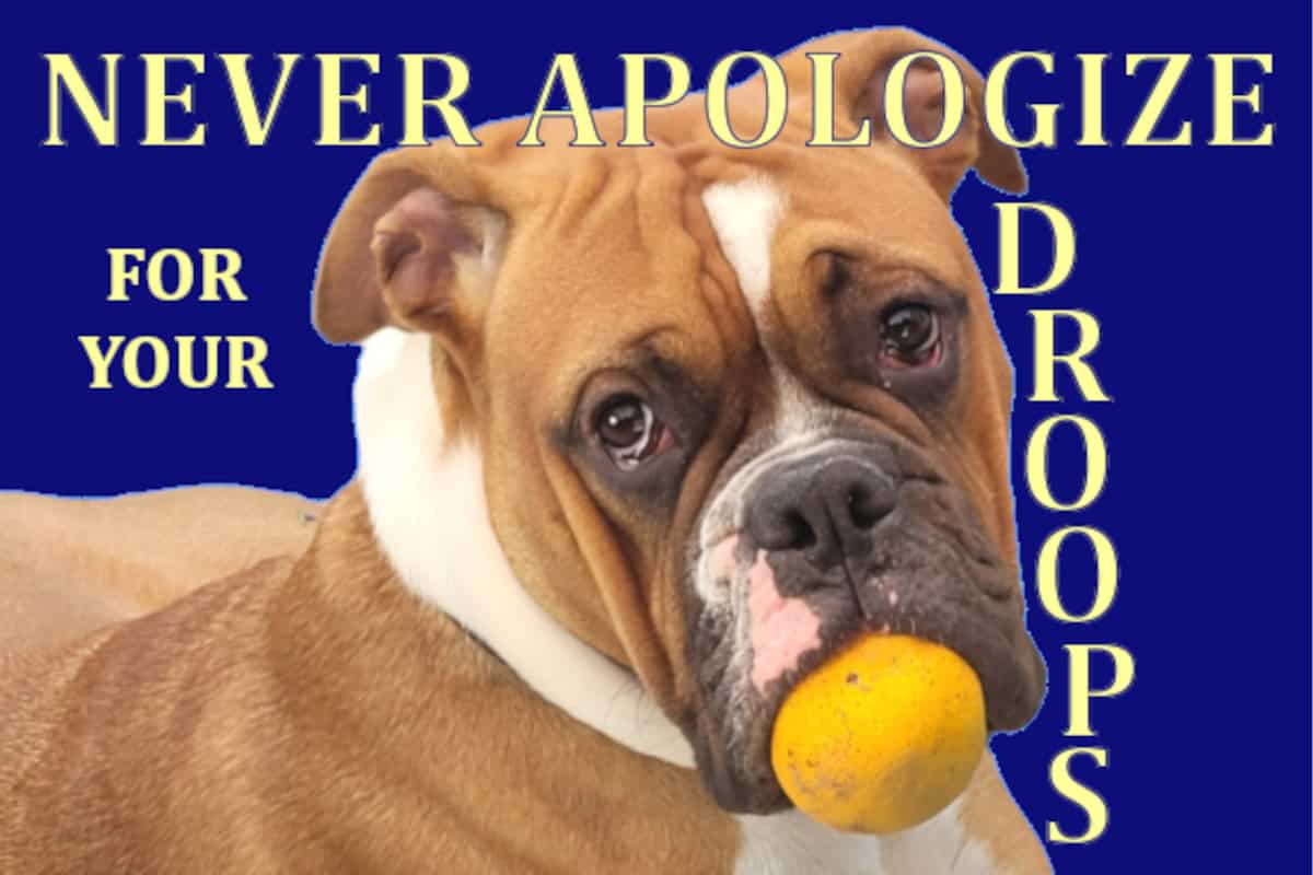 GP Genuine Horoscopes For Those Born Under A Mundane Sign