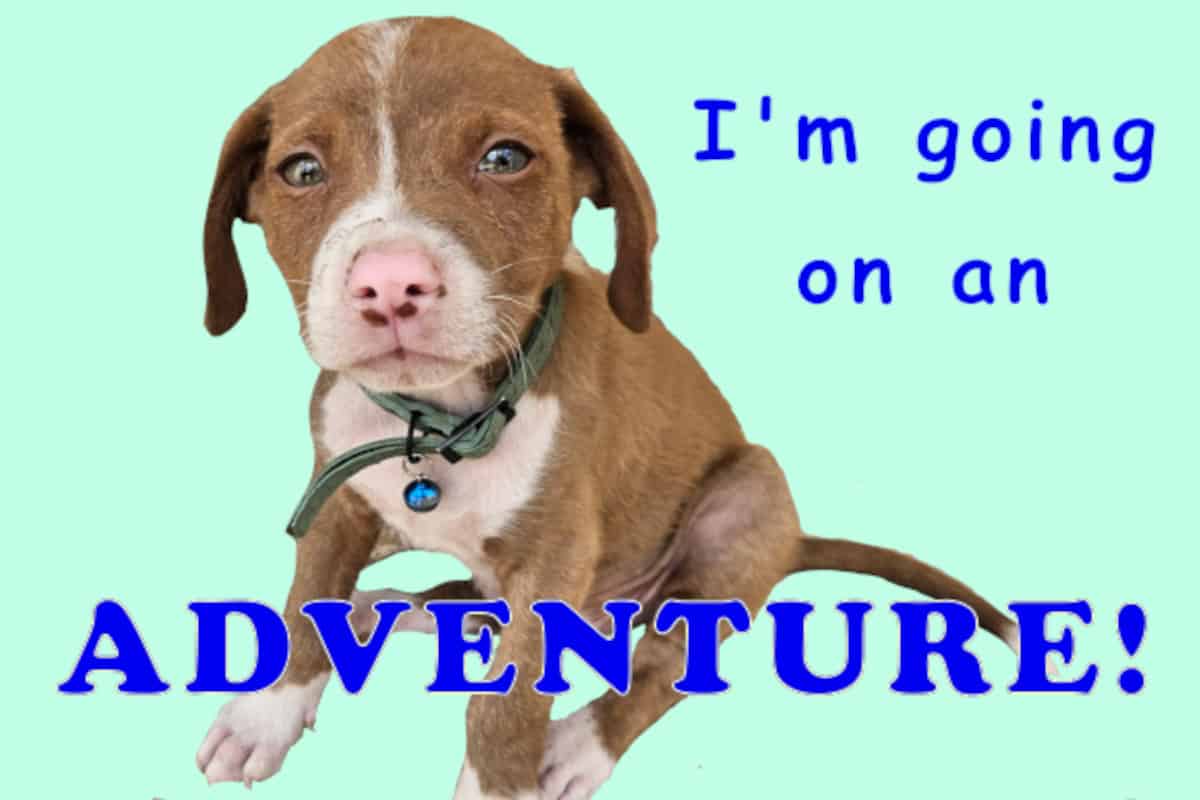 GP Genuine Horoscopes For Those Born Under A Most Auspicious Sign