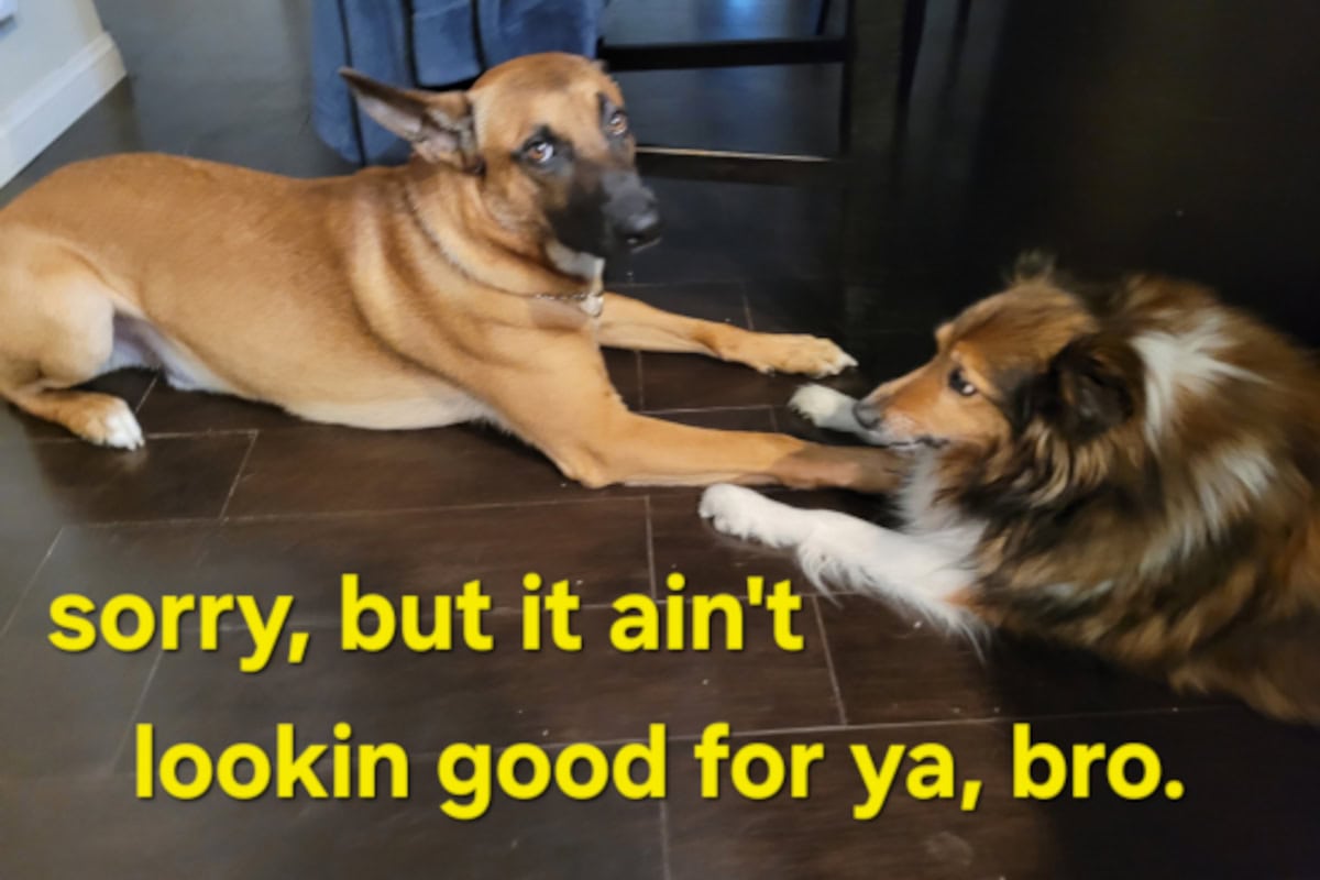 GP Genuine Horoscopes For Those Born Under A Foreboding Sign